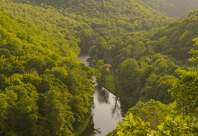 dokumentarfilm dok.film thayatal podyji film projekt grenze dreh waldviertel nationalpark