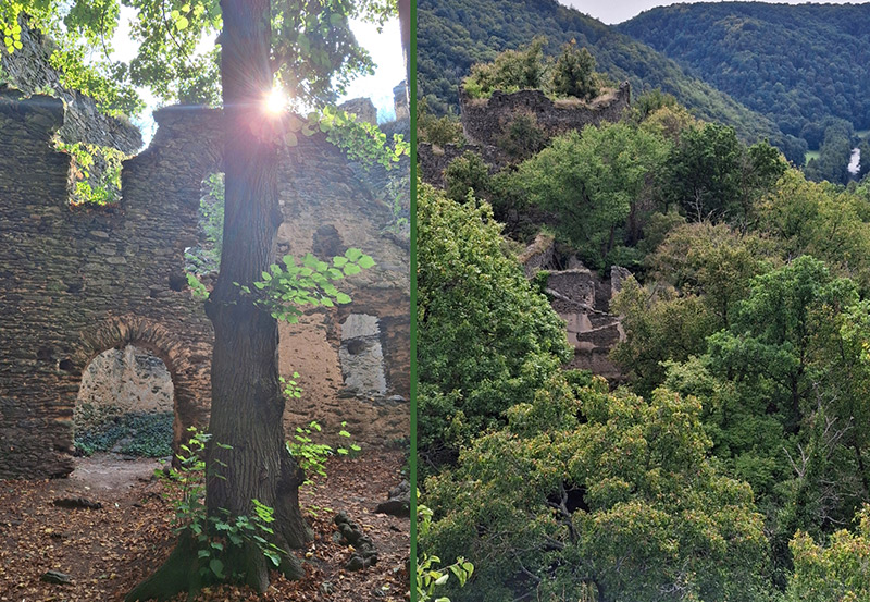 dokumentarfilm dok.film thayatal podyji film projekt grenze dreh waldviertel nationalpark