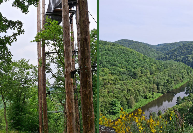 dokumentarfilm dok.film thayatal podyji film projekt grenze dreh waldviertel umlaufblick nationalpark