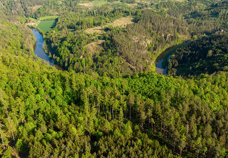 dokumentarfilm dok.film thayatal podyji film projekt grenze dreh waldviertel kollmitz naturwälder
