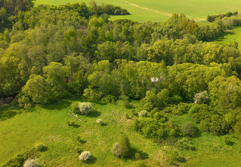 dokumentarfilm dok.film thayatal podyji film projekt grenze dreh waldviertel au pisecne