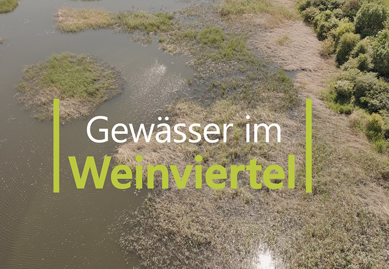 Gewässer Weinviertel Renaturierung Naturschutzbund Natur